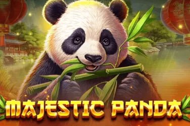 Membaca Info Terbaru lewat browser ponsel